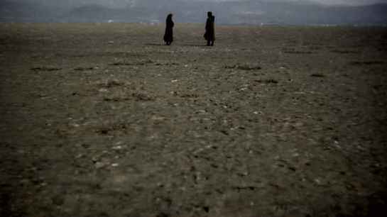 Chimeres - Shorts 04