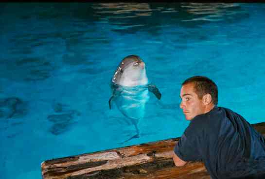 The Big Blue (1988) 05