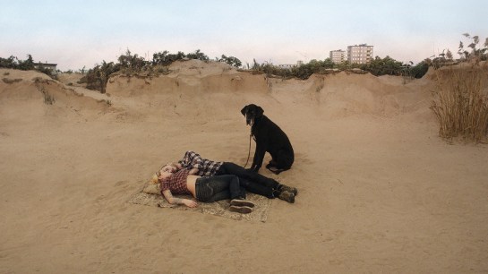 A Pigeon Sat on a Branch Reflecting on Existence (2014) 03