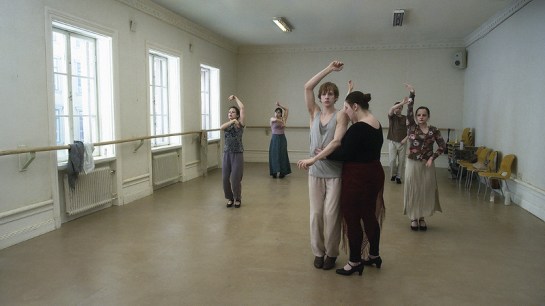 A Pigeon Sat on a Branch Reflecting on Existence (2014) 05