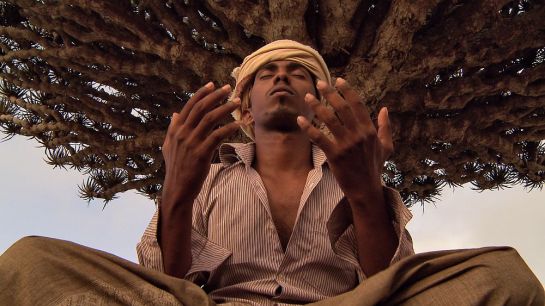 Unknown Land (2012) 02