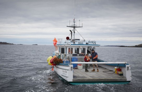 Manchester by the Sea 08