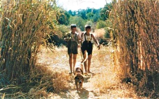 Το Δέντρο που Πληγώναμε (1986) 03